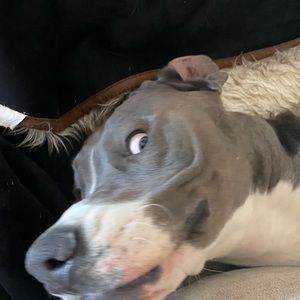 Meet your Posher, Keaton